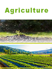 Organic-Inorganic Compound Fertilizer Market - Global Outlook and Forecast 2022-2028