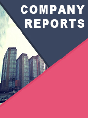 Food Bulking Agents Market, Global Outlook and Forecast 2025-2032